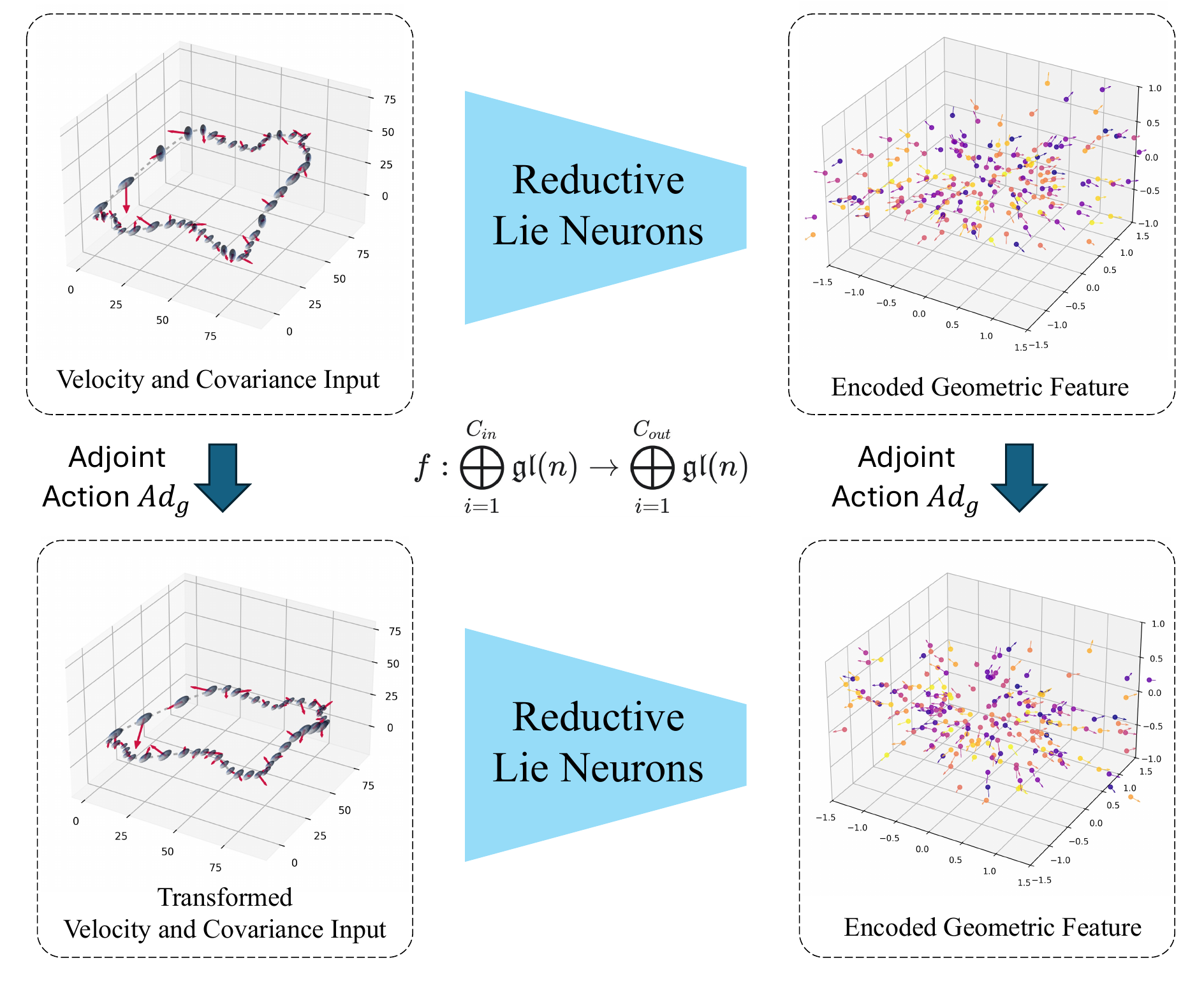 Adjoint-equivariance: a unified representation for vectors and covariances